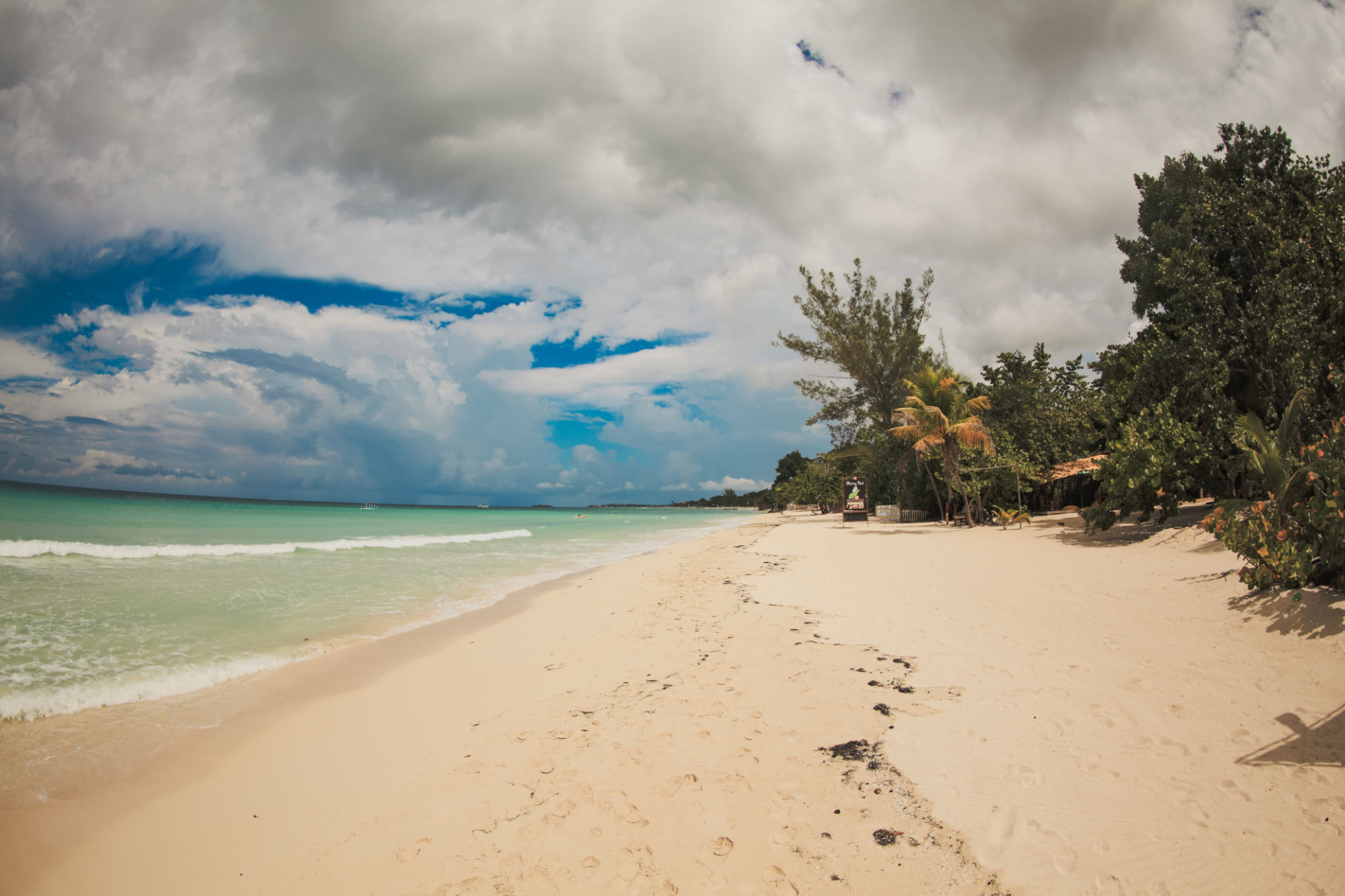 picnic in jamaica