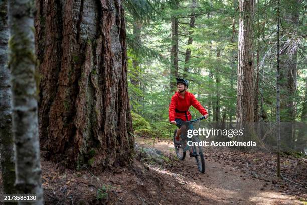 ciclista de montaña anda a través de un bosque antiguo - chaqueta roja fotografías e imágenes de stock