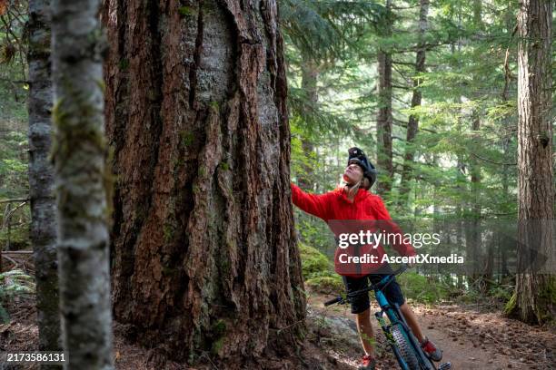 female mountain biker rides through old growth forest - gematigd regenwoud stockfoto's en -beelden