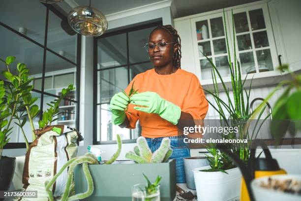 junge frau, die zu hause blumen umpflanzt - gartenhandschuh stock-fotos und bilder