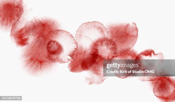 vibrant red watercolor droplets on white paper - menstruation stain stock pictures, royalty-free photos & images
