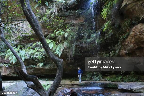 hiker enjoying the scenery of the grand canyon walking track, blue mountains - parc-national-des-blue-mountains photos et images de collection