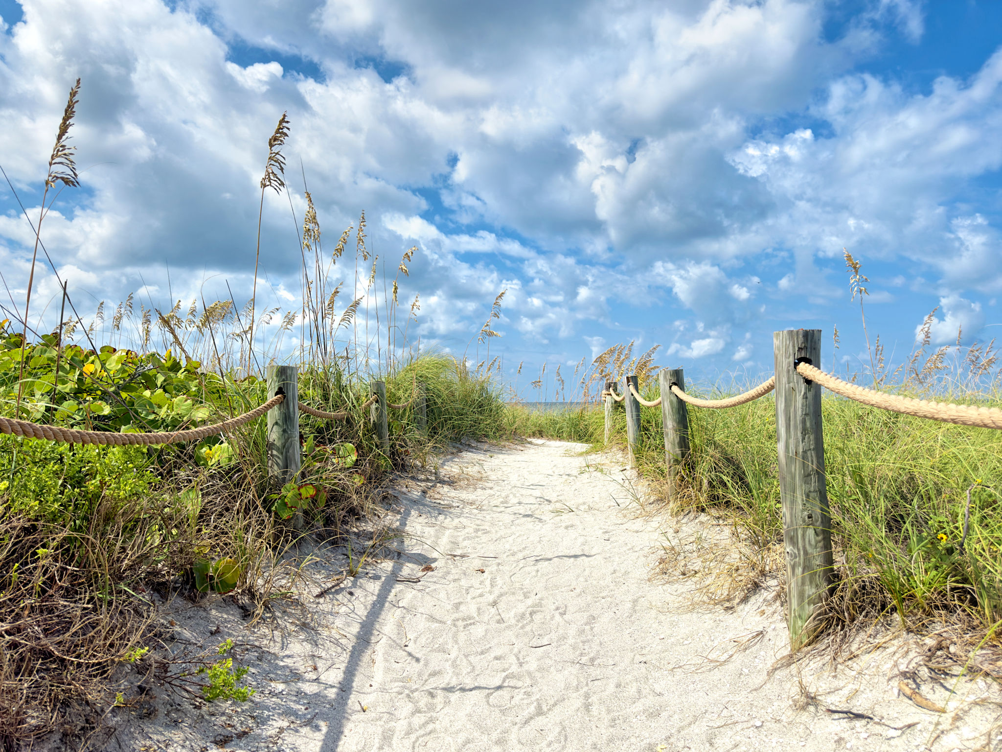 sarasota beach