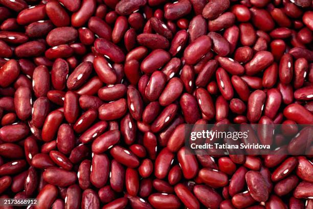 lots of freshly picked red kidney beans flat lay - bean stock pictures, royalty-free photos & images