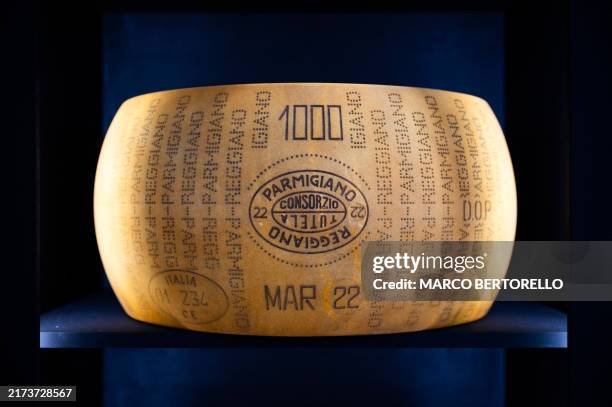 Form of Parmigiano Reggiano cheese is pictured at a stand of the Slow Food Salone del Gusto and Terra Madre on September 26, 2024 in Turin.