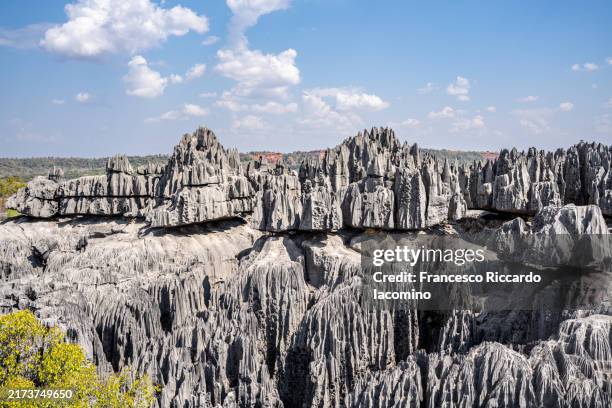 tsingy de bemaraha national park, west madagascar - acute angle stock pictures, royalty-free photos & images