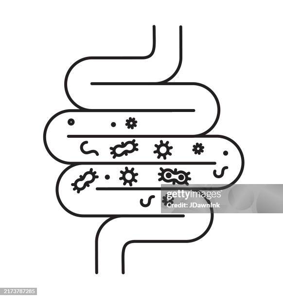 ilustraciones, imágenes clip art, dibujos animados e iconos de stock de intestino humano del concepto de la salud intestinal con icono delineado negro de las bacterias sobre fondo blanco - microorganismo
