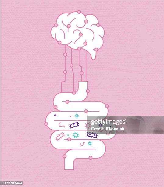 illustrazioni stock, clip art, cartoni animati e icone di tendenza di brain gut connection concetto di salute intestino umano con batteri su sfondo rosa strutturato - stomaco