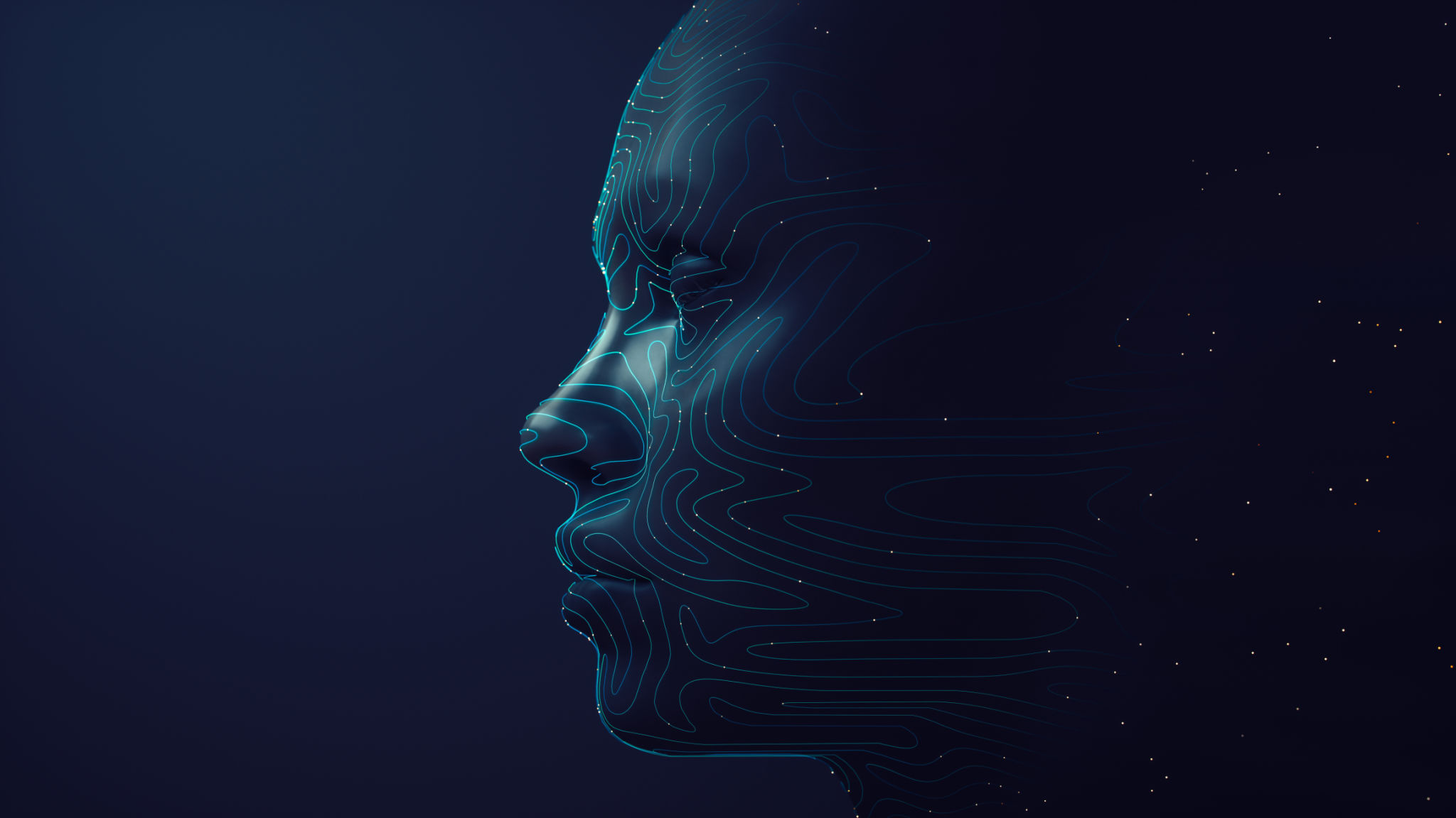 face shape diagram