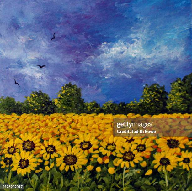sunflower field - sunflower stock illustrations
