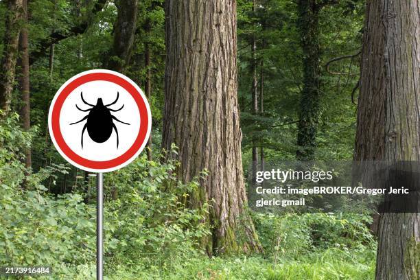 Insect Warning Sign Tick Insect Warning Sign In Infected Forest Lyme Disease And Meningitis ...