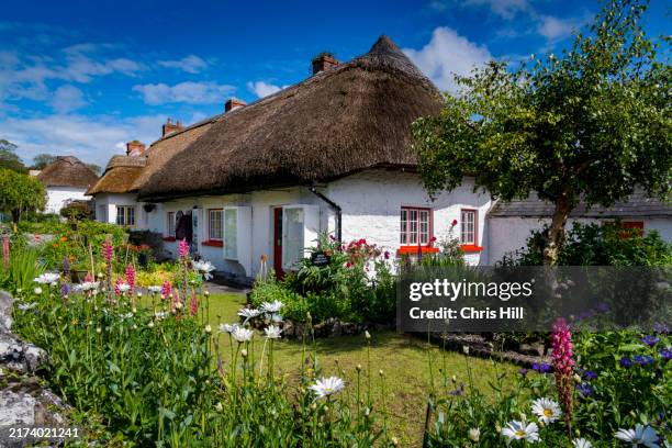 thatched cottages in the irish heritage village of adare, county limerick, ireland - adare ireland stock pictures, royalty-free photos & images