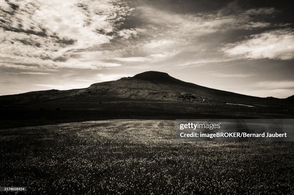 Monts Dore, Sancy mountain. Auvergne volcanoes natural park. Puy-de-Dome department. Auvergne-Rhone-Alpes. France