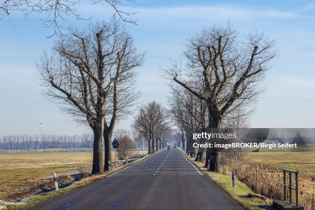 Avenue