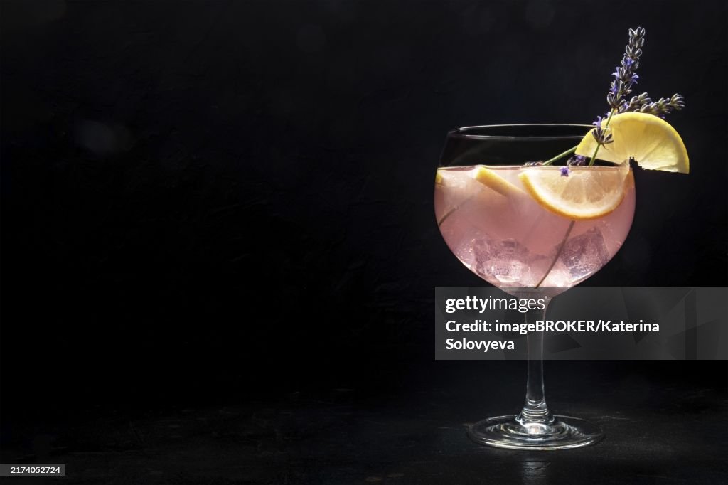 Fancy cocktail with fresh fruit. Gin and tonic drink with ice at a party, on a black background. Alcohol with lavender and lemon, with a place for text, Food photography, Food photography
