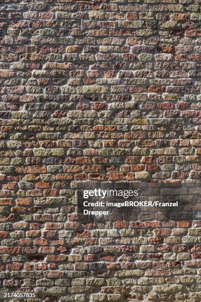 Polychromatic Textures 135 Polychromatic Brickwork Stock Photos, High-Res Pictures, and Images ...