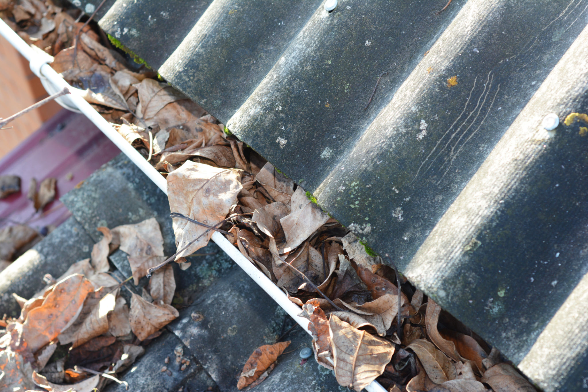 clean downspouts