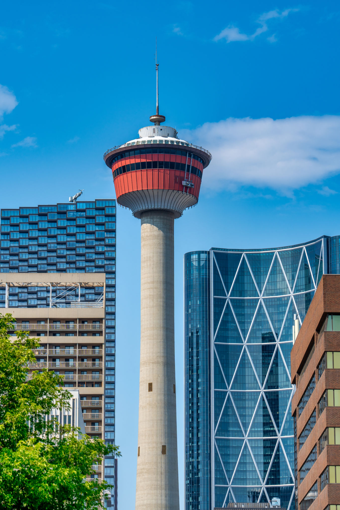 calgary summer office