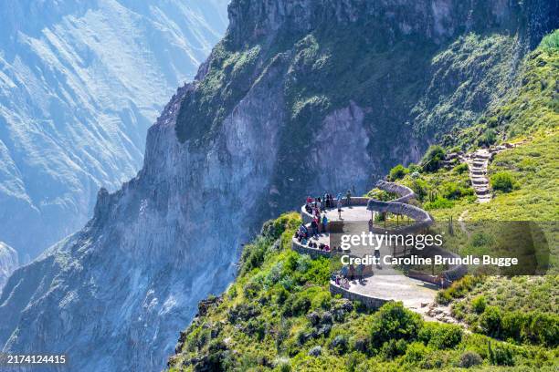 tourists at cruz del condor, colca canyon, peru - peru andean condor bildbanksfoton och bilder