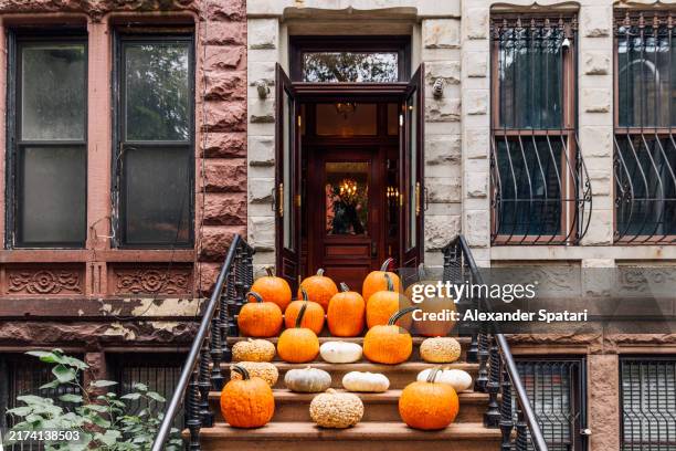 brownstone row house steps decorated with pumpkins for halloween, new york city, usa - halloween in new york city stock pictures, royalty-free photos & images