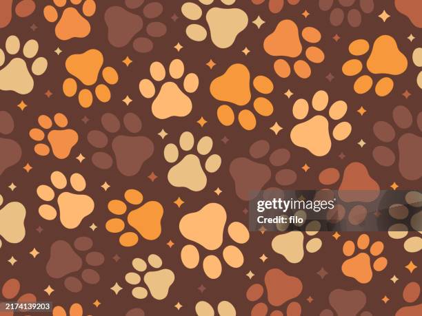 ilustraciones, imágenes clip art, dibujos animados e iconos de stock de mascotas sin costuras gato y perro animal huella pata tema fondo - huella perro