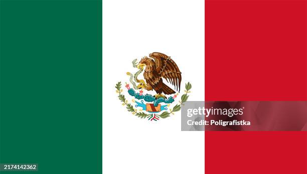 vector flag of mexico - mexican flag stock illustrations