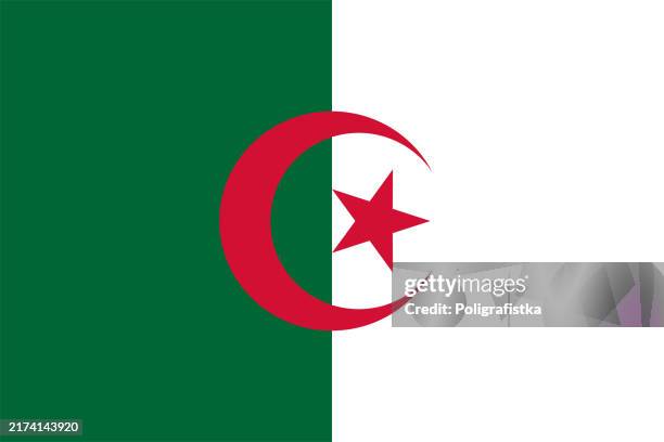 vector flag of algeria - algeria stock illustrations