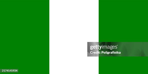 vector flag of nigeria - nigeria stock illustrations