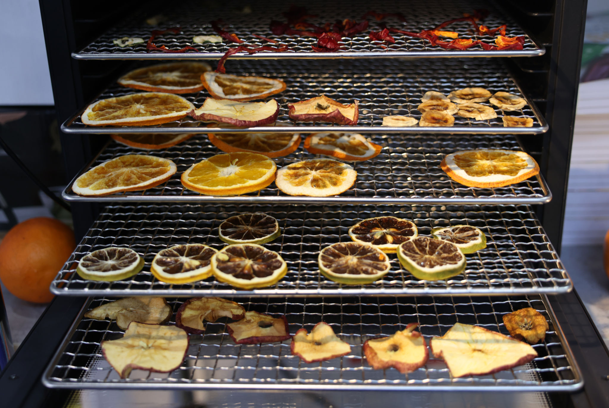 food dehydrator
