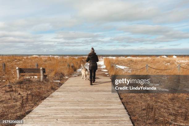 woman and husky at the beach - traditionele koksmuts stockfoto's en -beelden