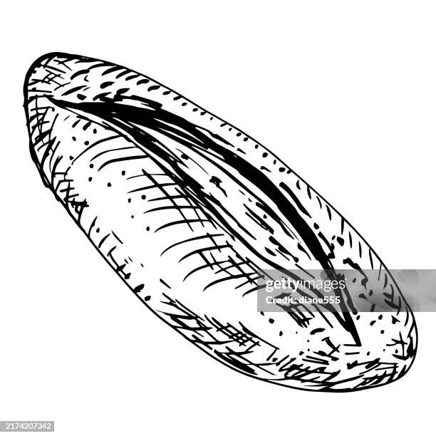 bread baking line art on a transparent background - artisan bread stock illustrations
