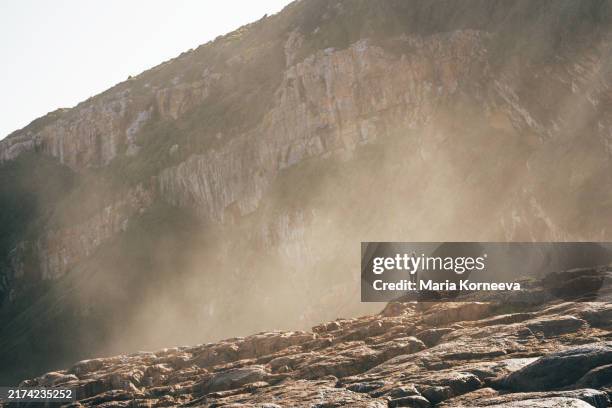 a female tourist walks along the coast in robberg game reserve in south africa. - eastern cape stock pictures, royalty-free photos & images
