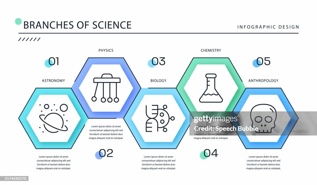 Branches Of Science Infographic Template.