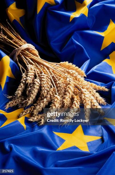 wheat sheaf on ec flag - europese unie vlag stockfoto's en -beelden