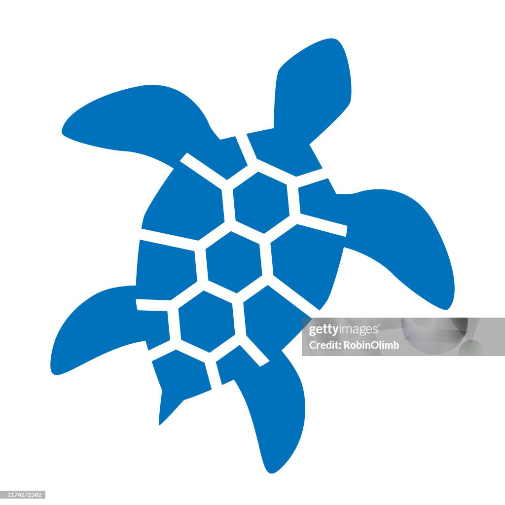 Black Sea Turtle Icon