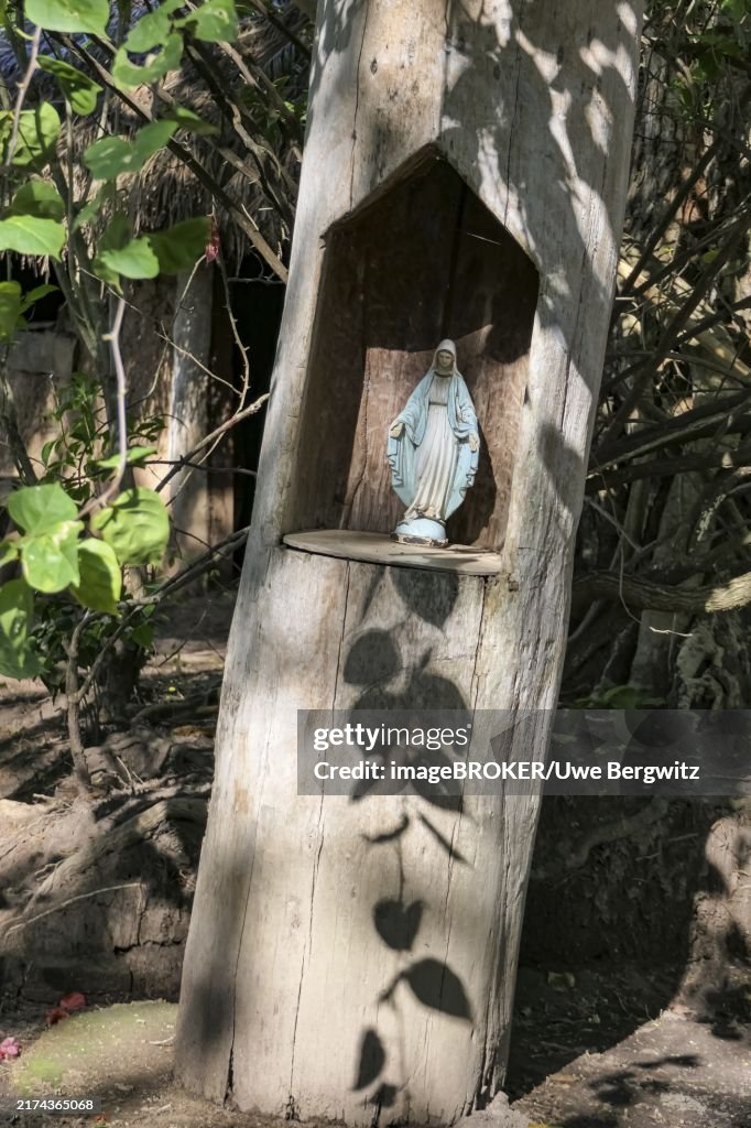 Madonna-Statue standing in a carved niche of a tree stump, Pantanal Wetlands, Mato Grosso, Brazil, South America