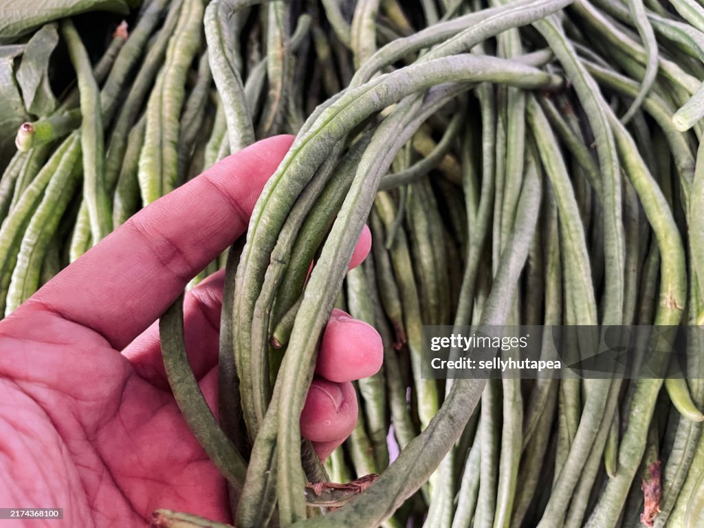 Close-Up Of Long Beans