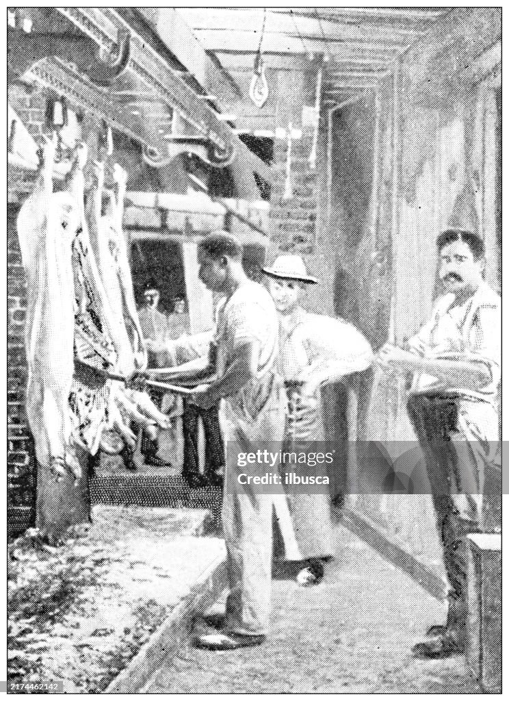 Antique image: Food industry, meat slaughterhouse, cleaning pork