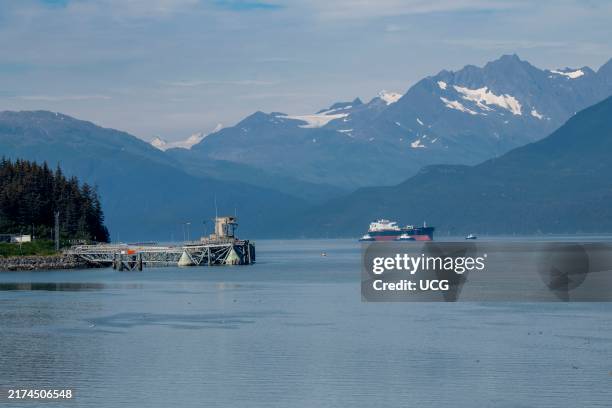 Valdez, Alaska. Crude Oil Tanker the Alaskan Navigator enters Port Valdez with tug boats guiding it past the oil loading berth 1 which is no longer...