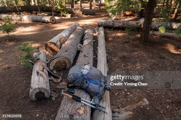 backpacker's gear on logs - hiking pole stock pictures, royalty-free photos & images