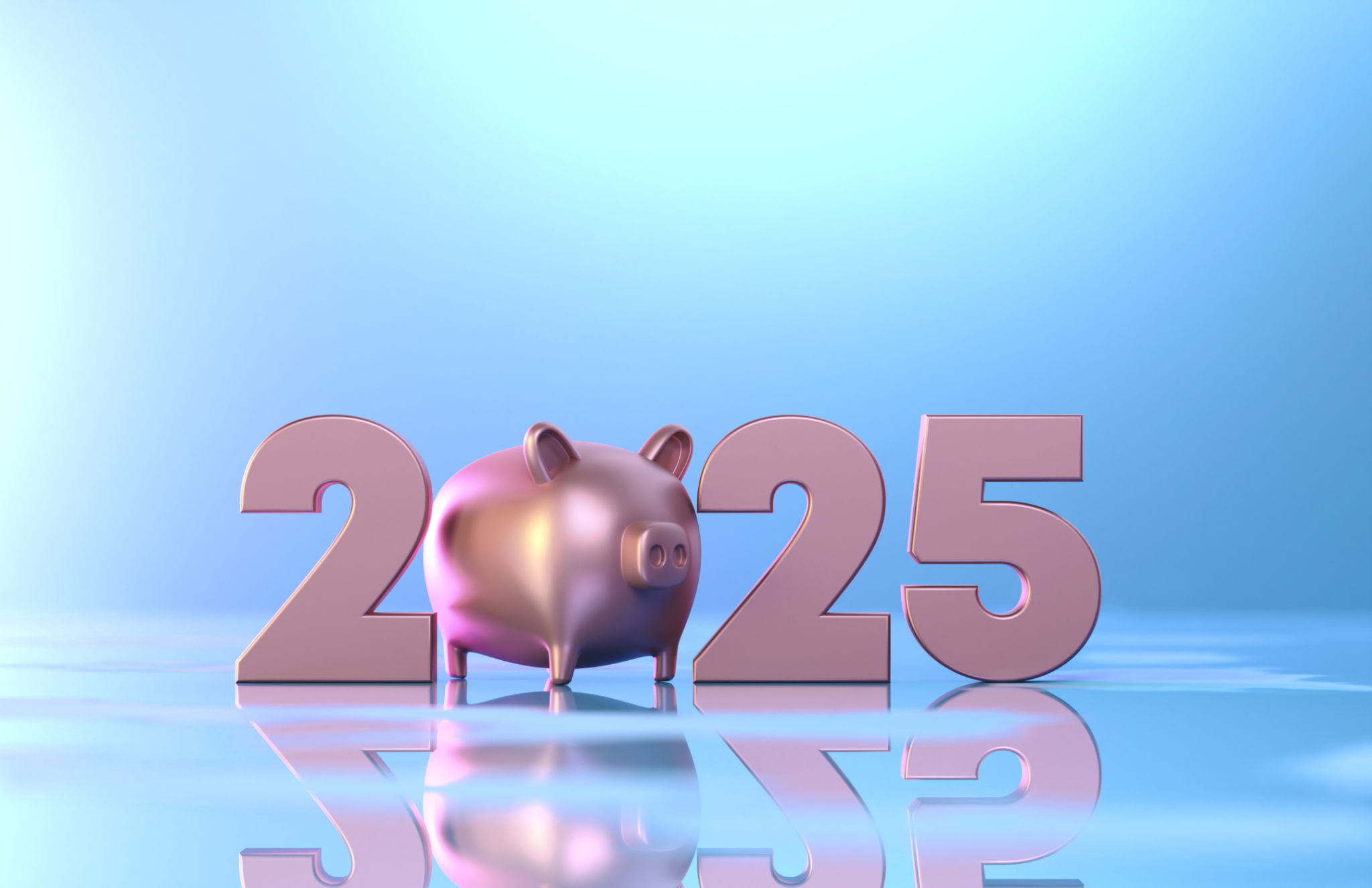 2025 And Piggy Bank 2025 And Piggy Bank