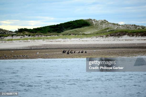 Cap Code Bay 780 Cape Cod Bay Stock Photos, High-Res Pictures, and Images - Getty Images