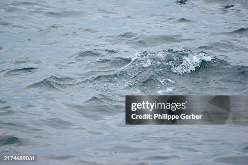 Cape Cod Bay Cape Cod Bay