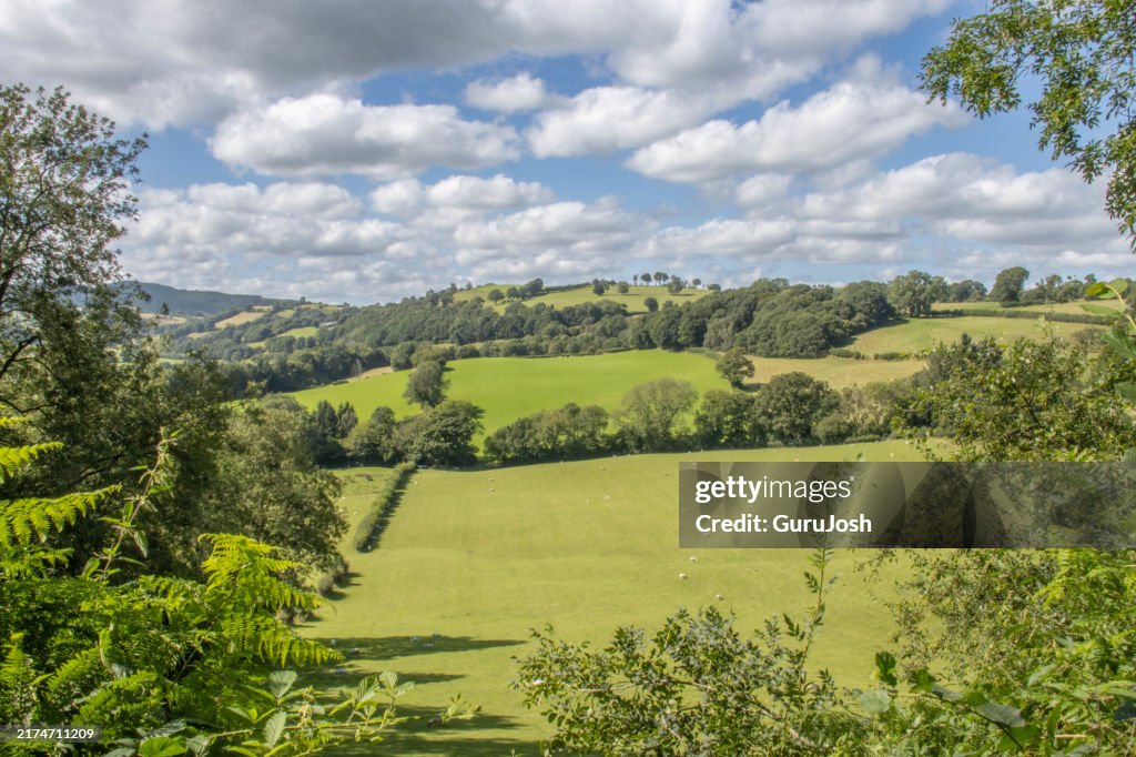 Views of the countryside near Llanfyllin, Powys, Wales, UK