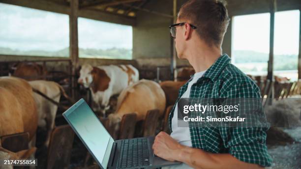 caucasian farmer with laptop at dairy farm - cow laptop stock pictures, royalty-free photos & images