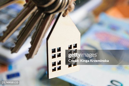 House ownership House ownership