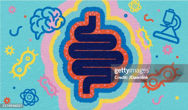 illustrations, cliparts, dessins animés et icônes de brain gut connection concept abstrait de santé et de science avec la silhouette de l’intestin humain entouré de cerveau humain, de bactéries intestinales et d’éléments scientifiques - anatomy of colon