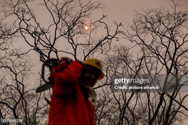 September 2024, Brazil, Kadiweu: A firefighter carries a saw on his shoulder while the sun is barely visible behind thick smoke during a forest fire...