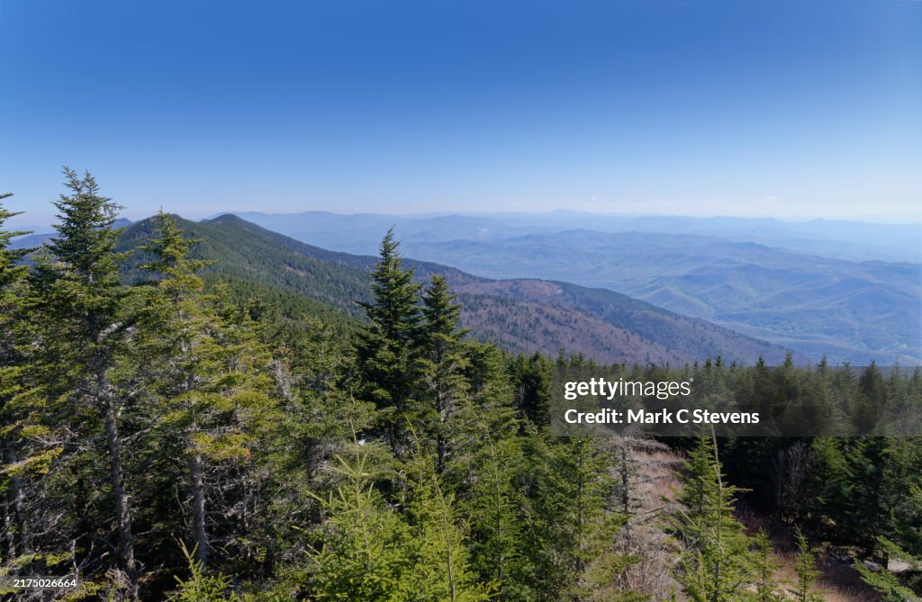 Our Time in Mount Mitchell State Park
