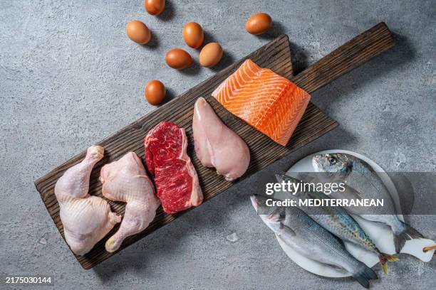 fuente de proteínas alimento carne, huevos y pescado: pollo, beaf, salmón, lubina, caballa y dorada - carne blanca fotografías e imágenes de stock